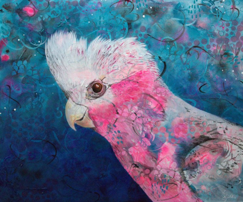 Pink and Grey? – Galah Ltd Ed Print