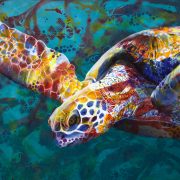 serene-sea-turtle-michelle-gilks