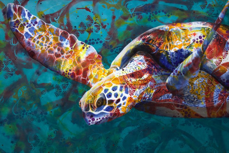 Serene Sea Turtle – Ltd Ed Print