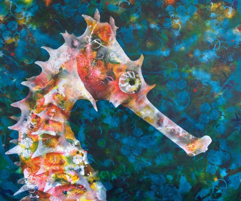 Seahorse – Ltd Ed Print