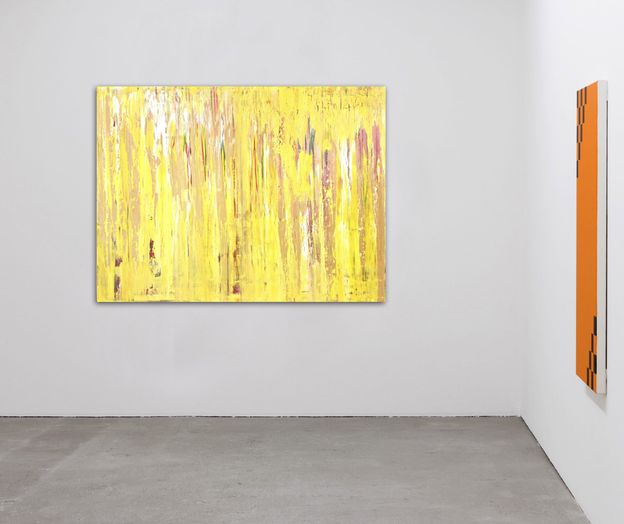 forest-sunlight-new-room1