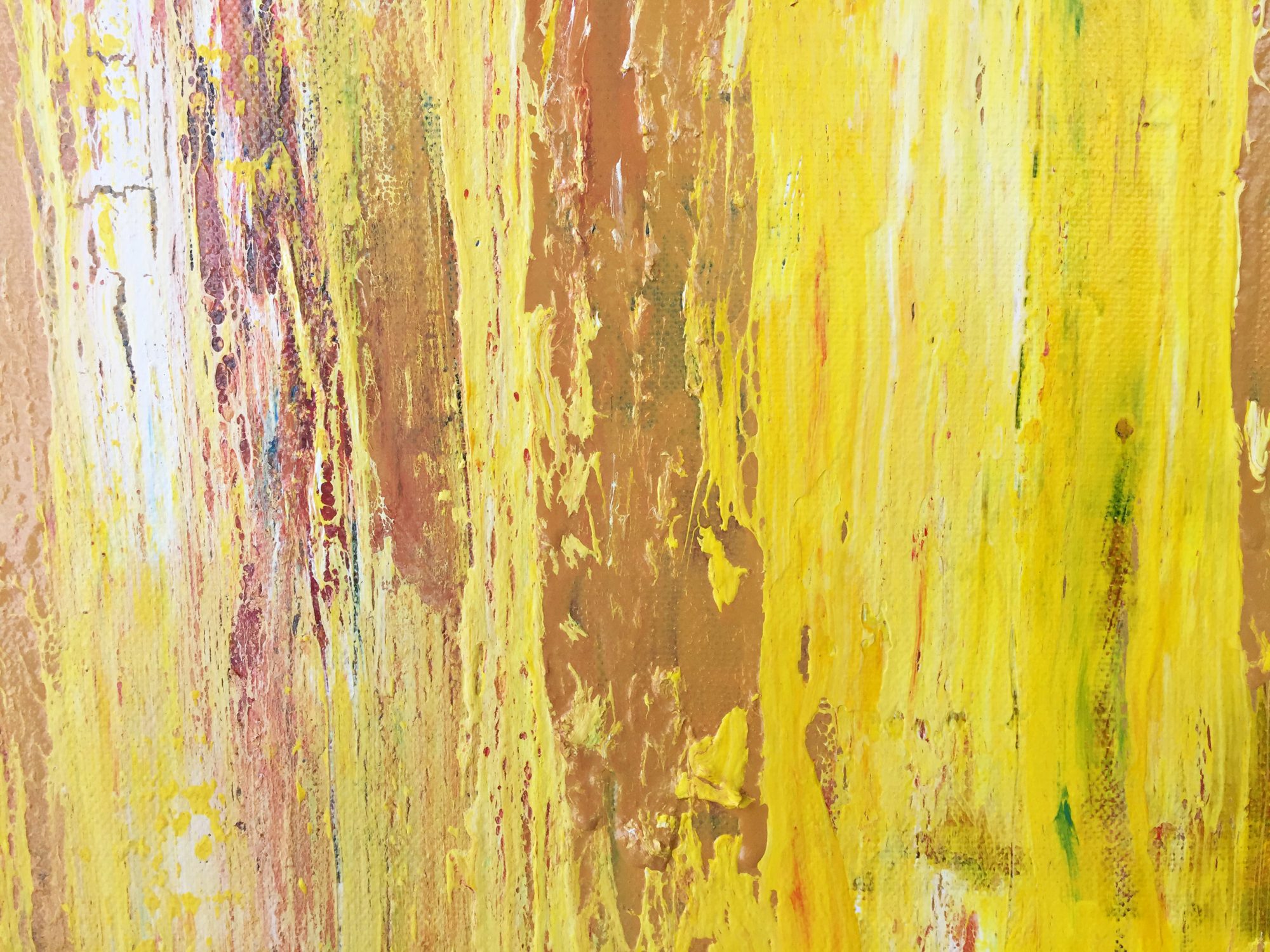 forest-sunlight-closeup1