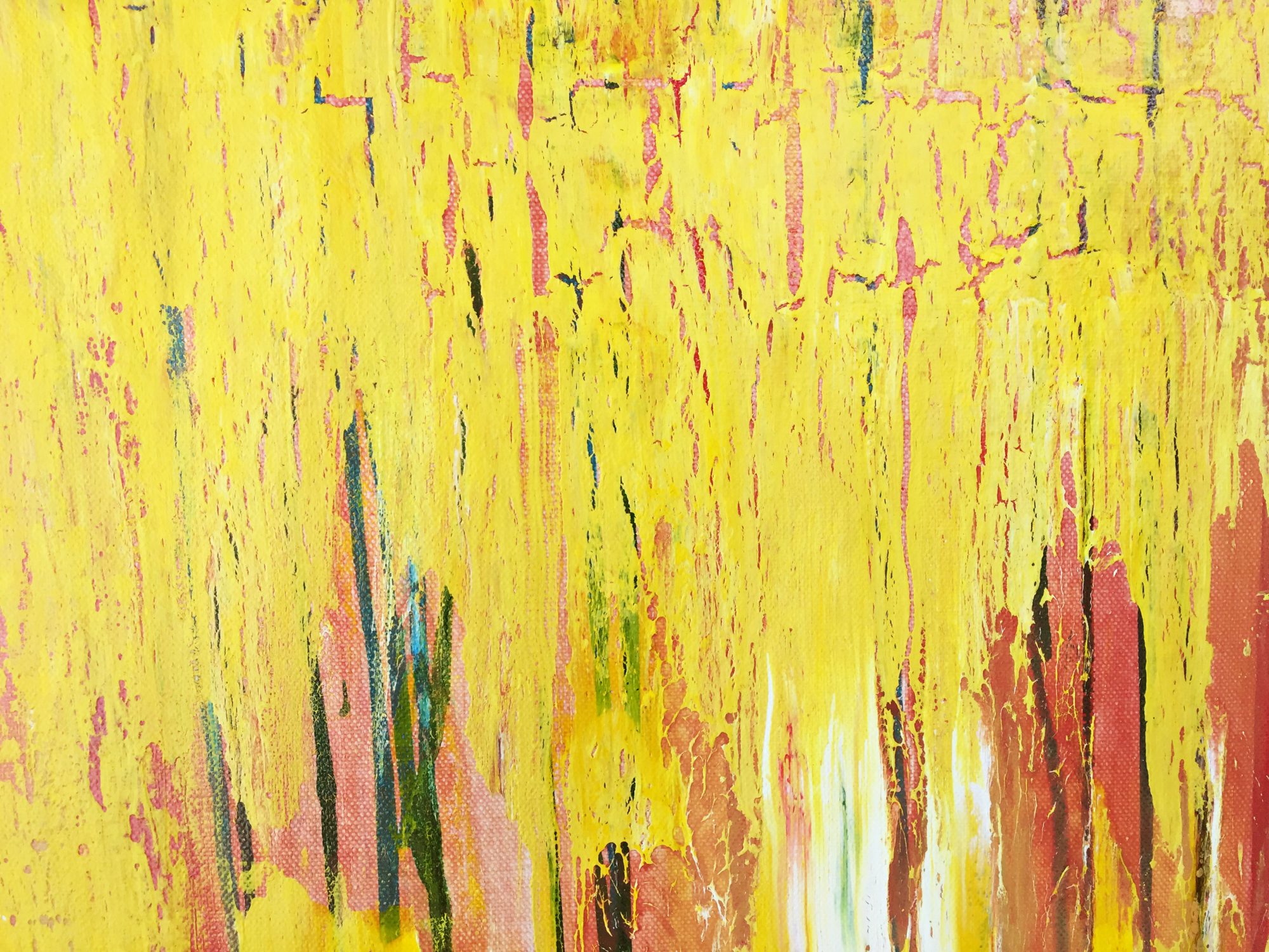 forest-sunlight-closeup3