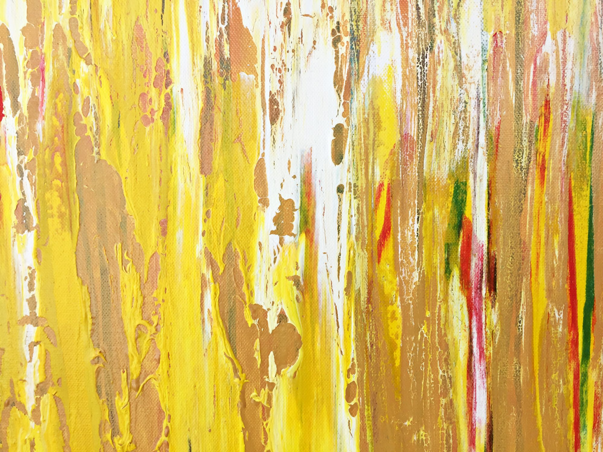 forest-sunlight-closeup4