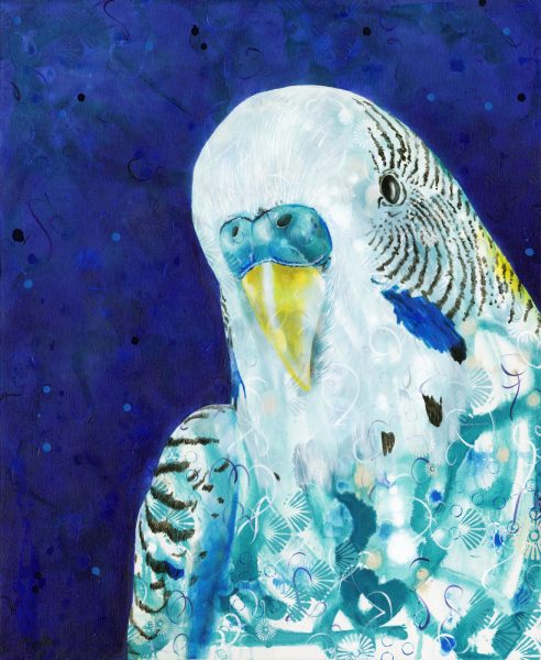 budgie_final