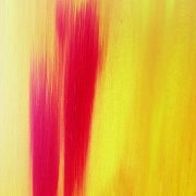 temporality-of-life-closeup4