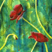 tall-poppies-highest