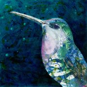 hummingbird_