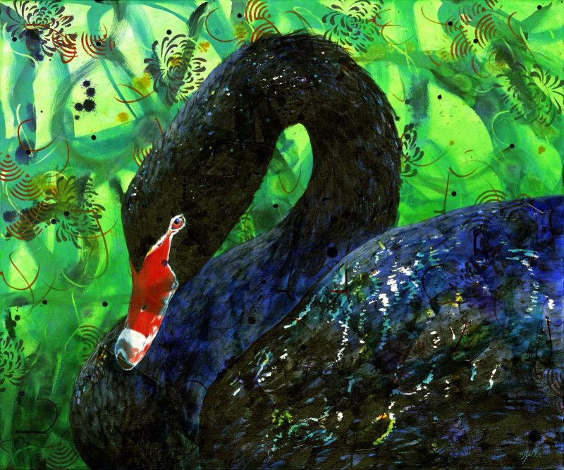 Black Swan – Ltd Ed Print