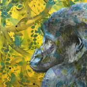 placid-contemplation