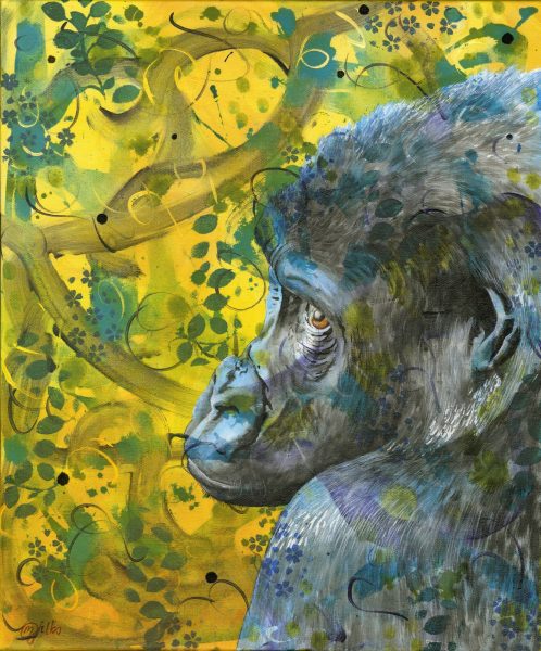 placid-contemplation