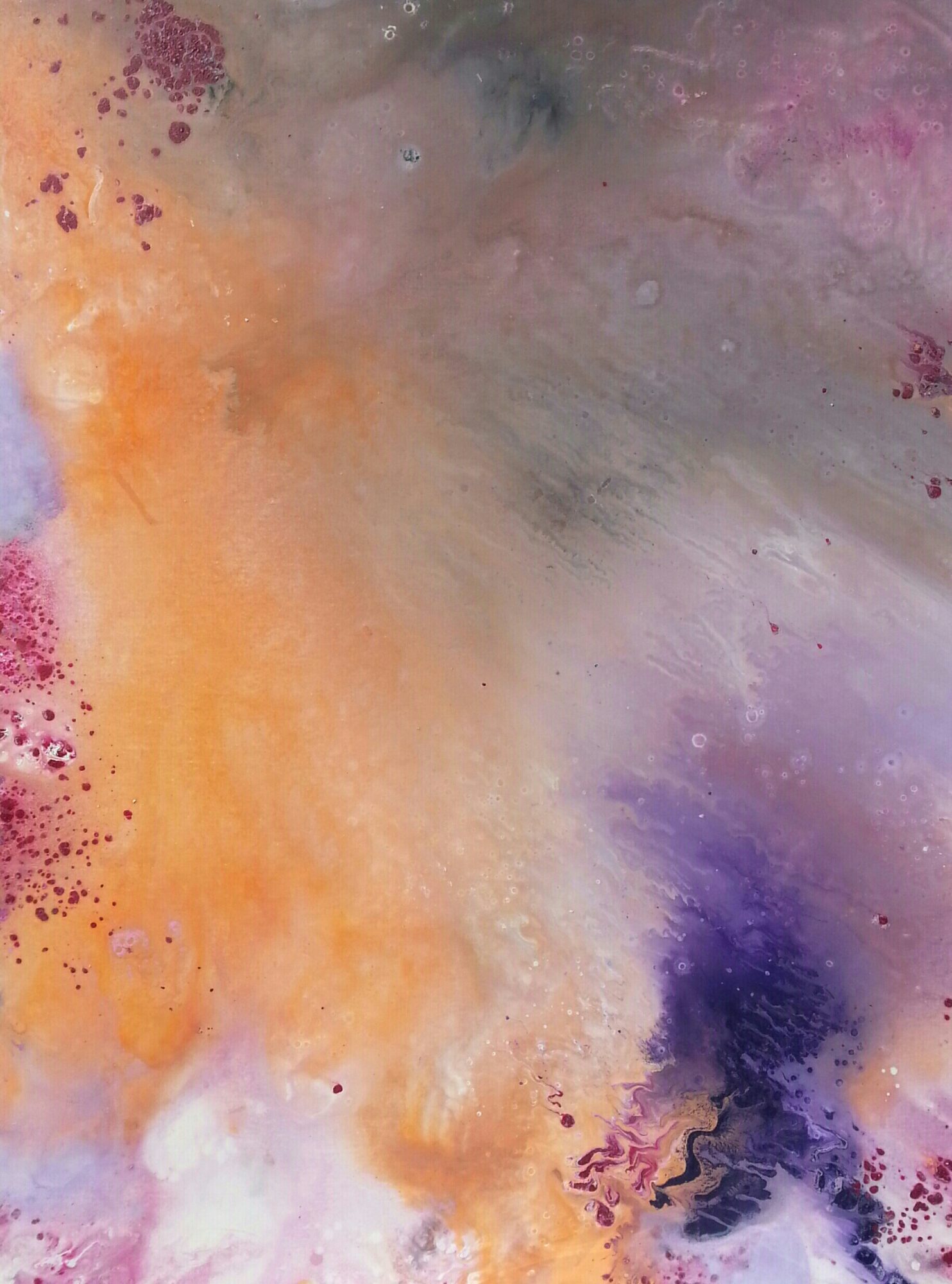 sydney-rock-garden-1-1-1-1