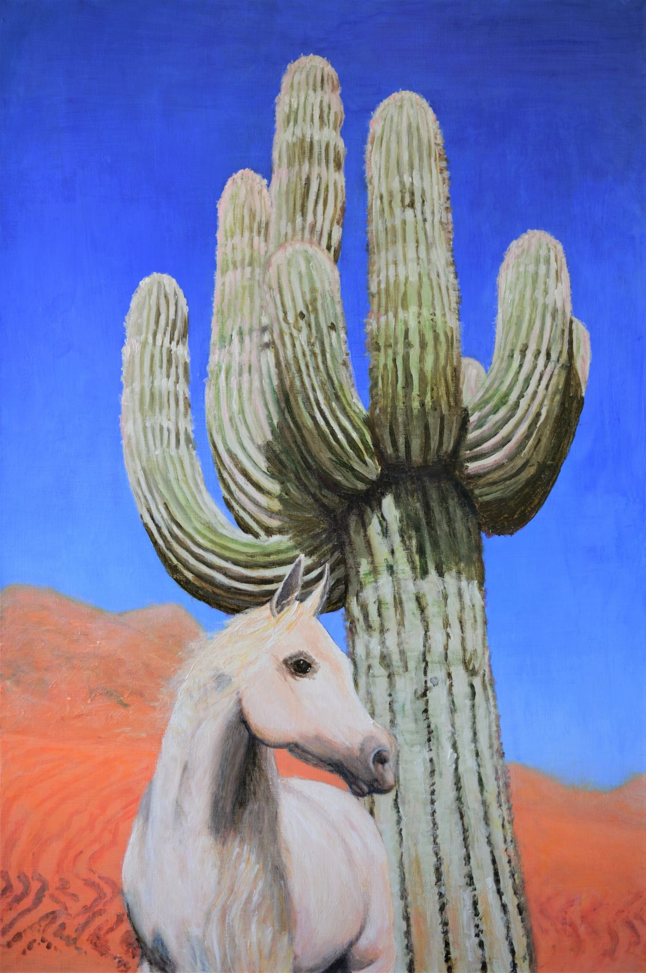 Desert Dream cactus horse Art Lovers Australia