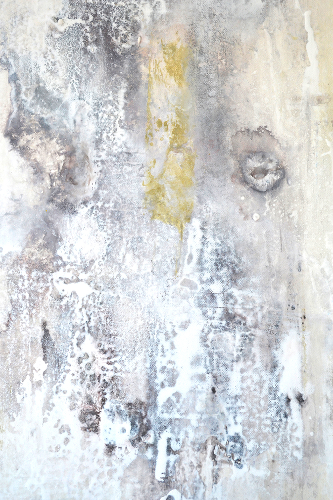 barnacles-2-close-up-c-small