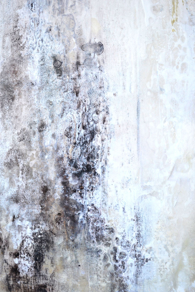 barnacles-2-close-up-b-small