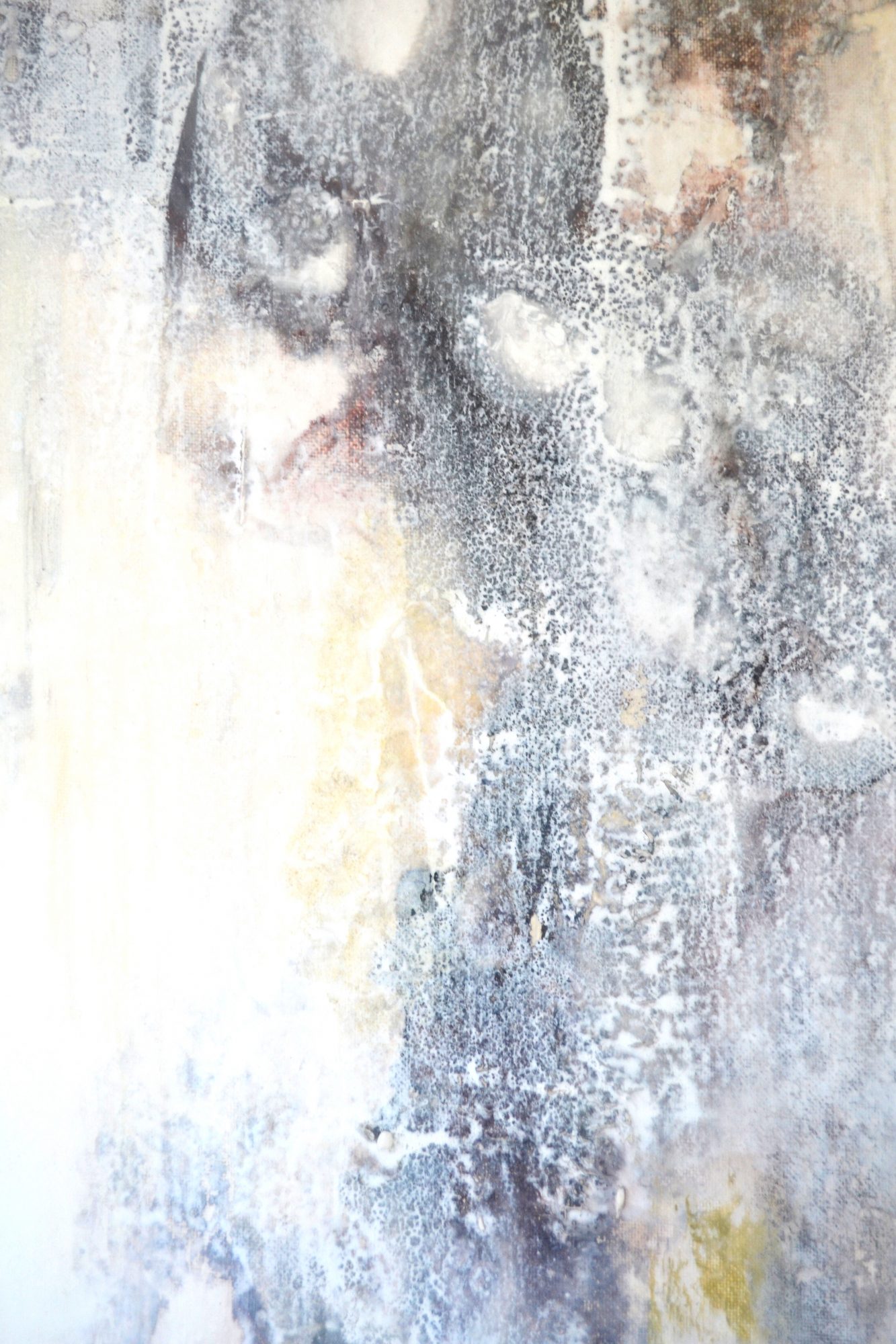 barnacles-2-close-up-a