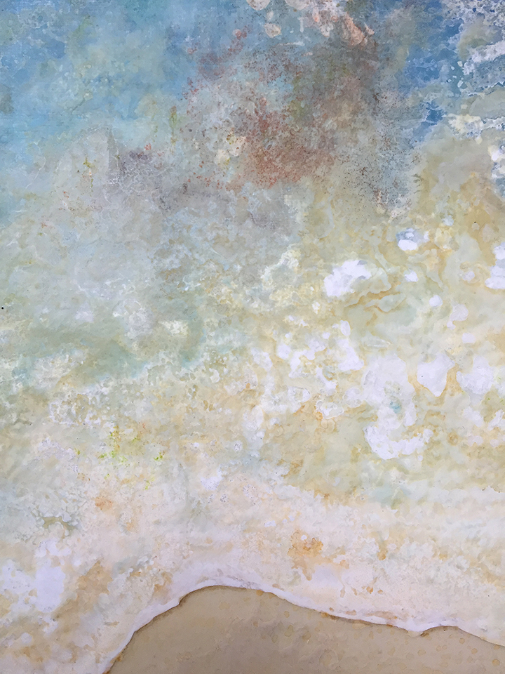 coral-waters-close-up-d
