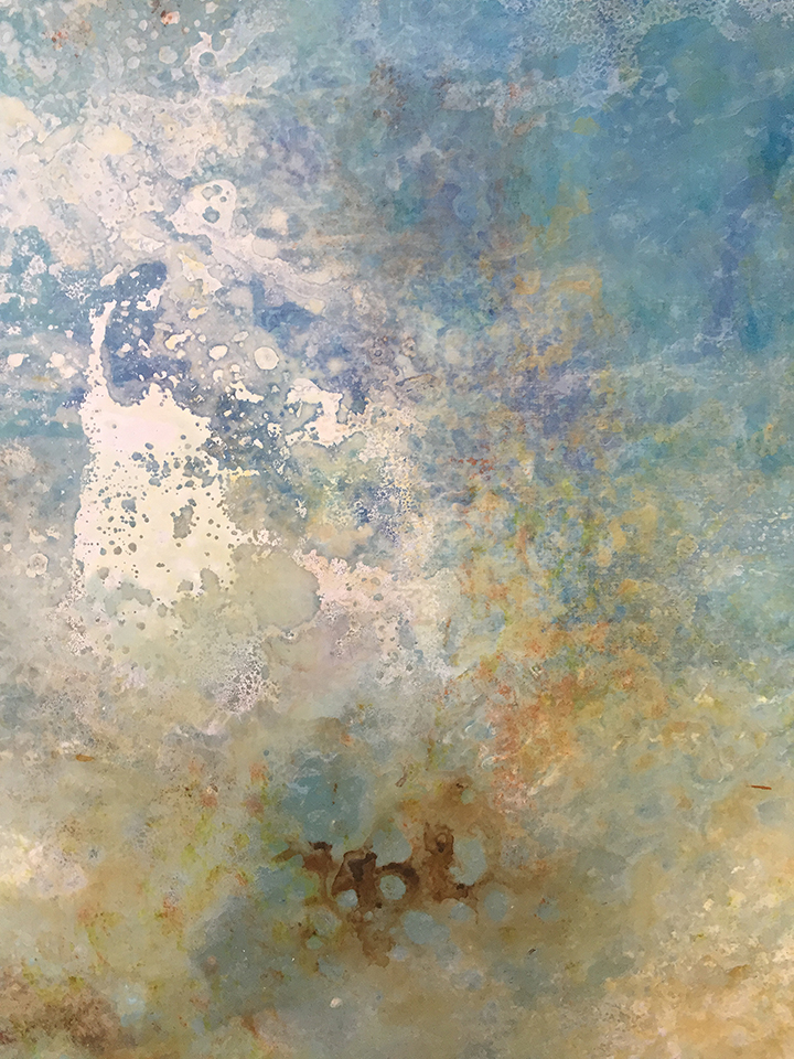 coral-waters-close-up-c