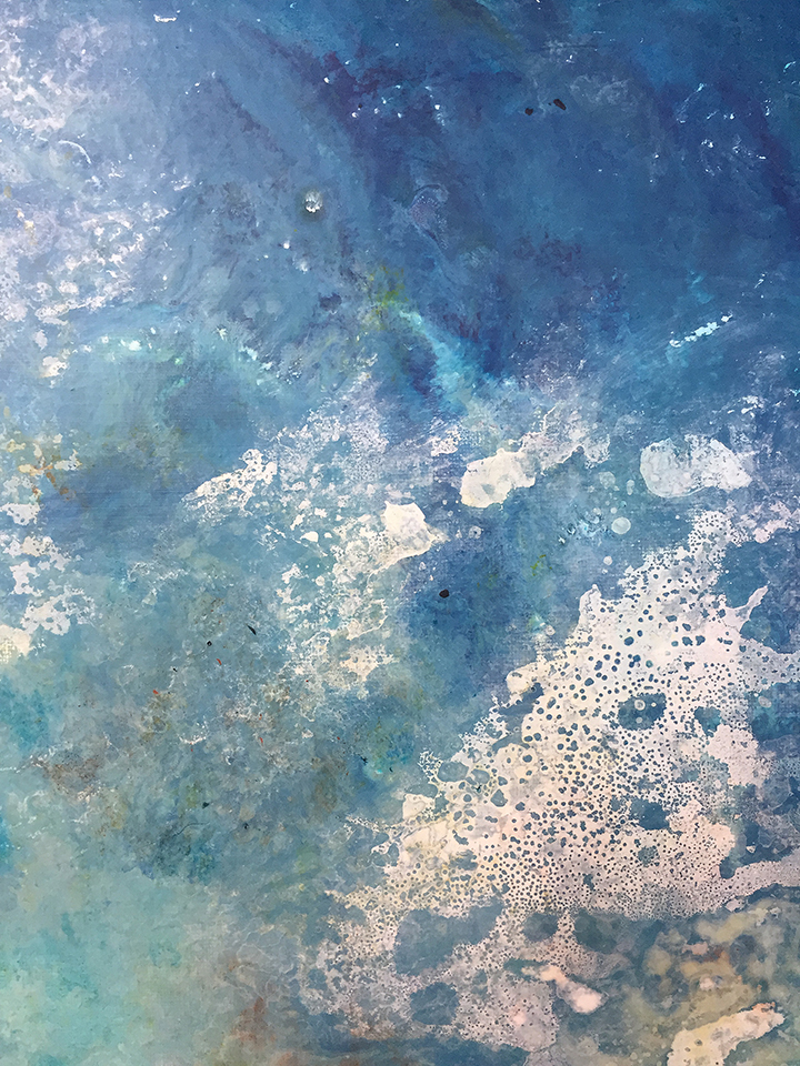 coral-waters-close-up-b