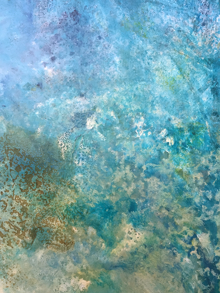 coral-reef-close-up-d