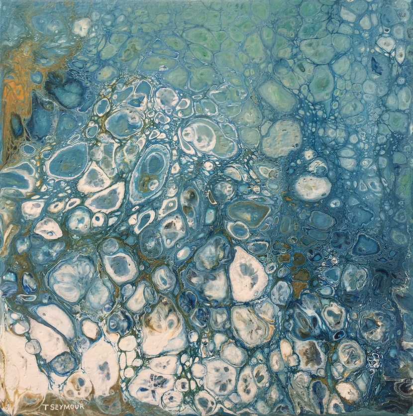 aquatic-journey-full-image