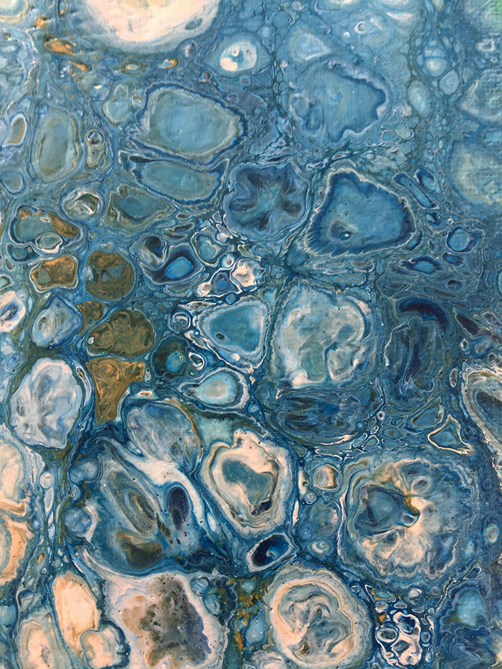 aquatic-journey-close-up-c