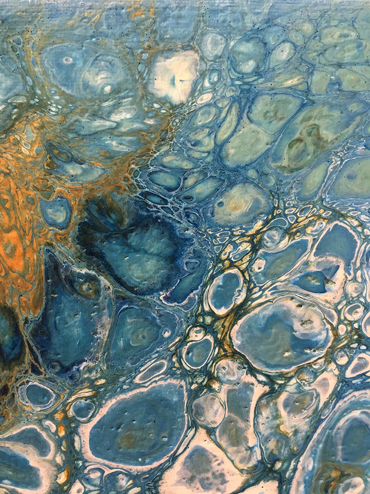 aquatic-journey-close-up-a