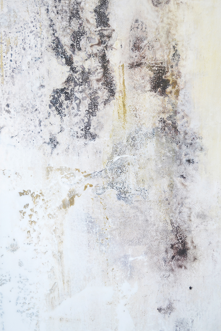 barnacles-3-close-up-d-small