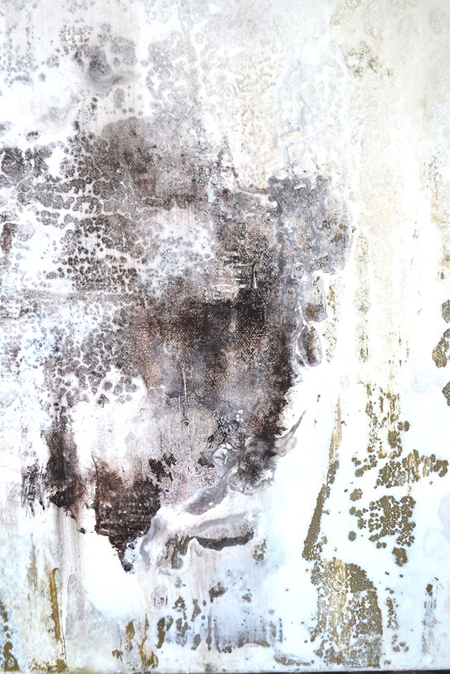 barnacles-3-close-up-a-small