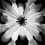 5fe0c7bf-6673-46ec-be13-edc9704a0680