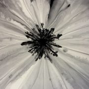 b03fcfbe-b959-4949-80c8-bbc0e044e19b