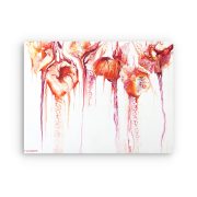 dancing-symphony-b-white-background