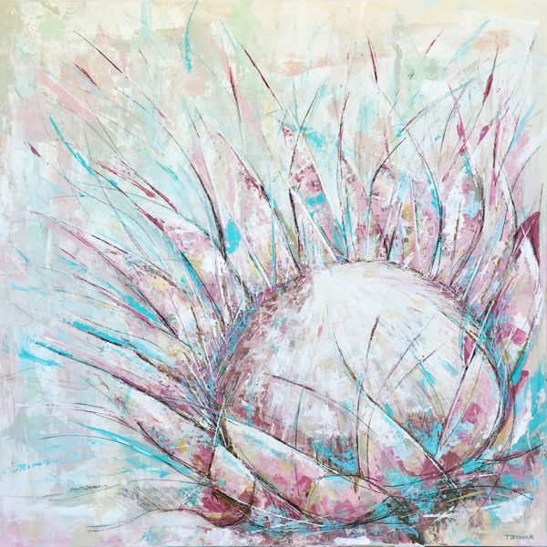 dare-to-shine-new-full-image