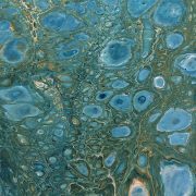 deep-sea-life-close-up-3