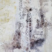 barnacles-1-close-up-a-small