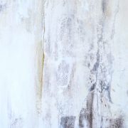 barnacles-1-close-up-b-small