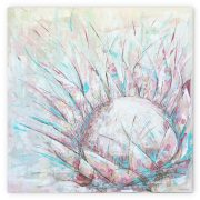 blank-white-background