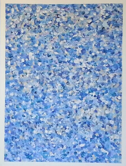 blue-point-beauty-cropped