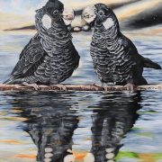 black-cockatoo-bliss