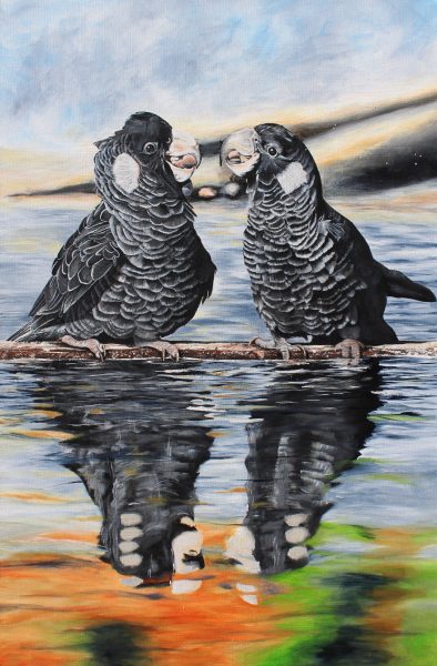 black-cockatoo-bliss