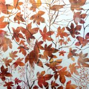 traces_iiinewimage-copy