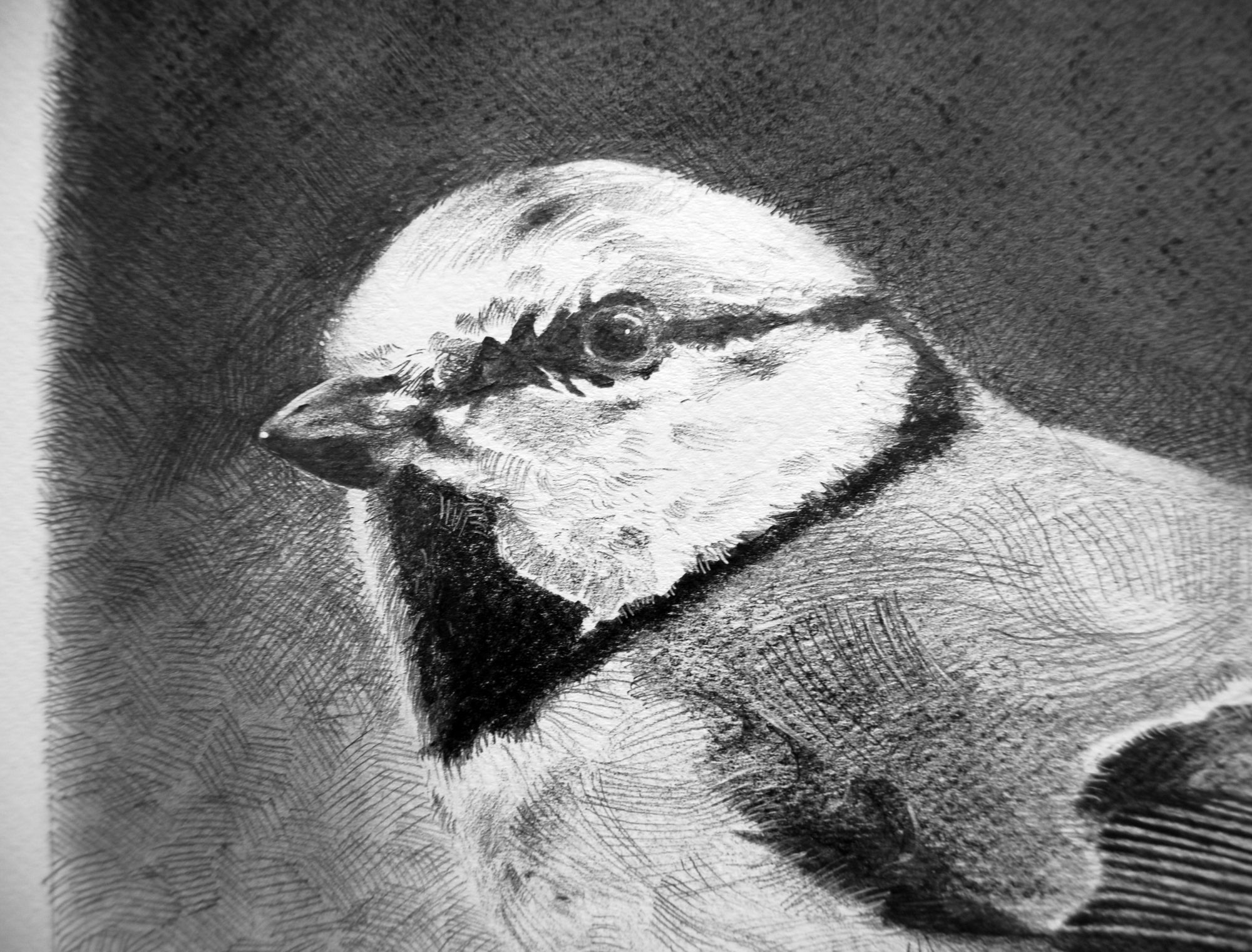 o-mio-babbino-caro-detail-1