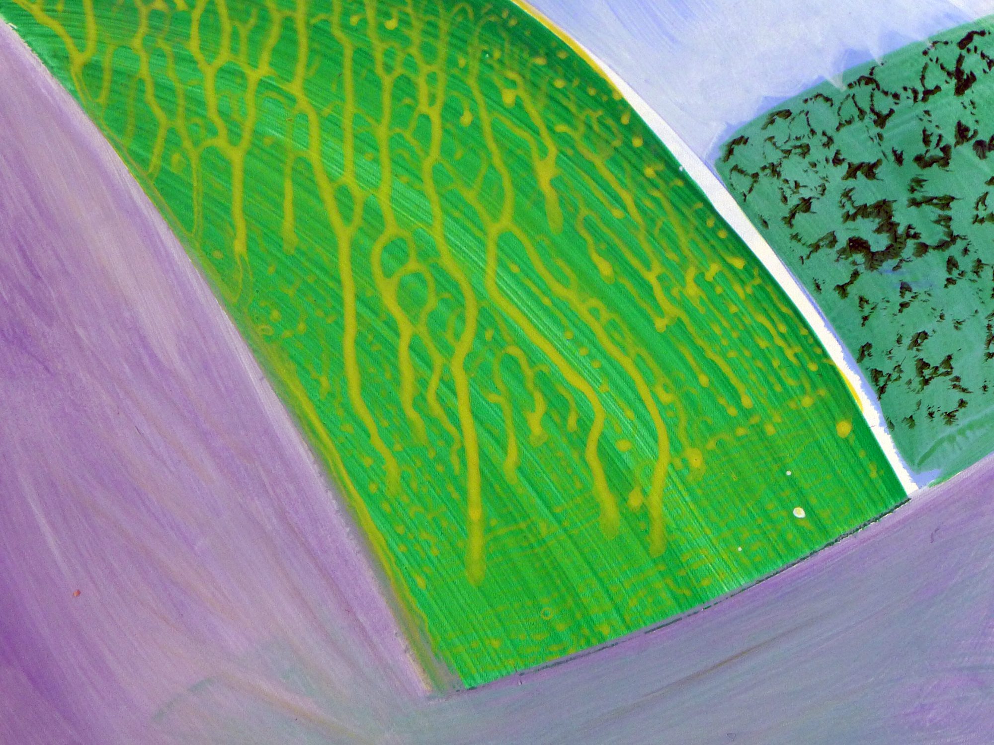 detail-the-day-it-rained-1