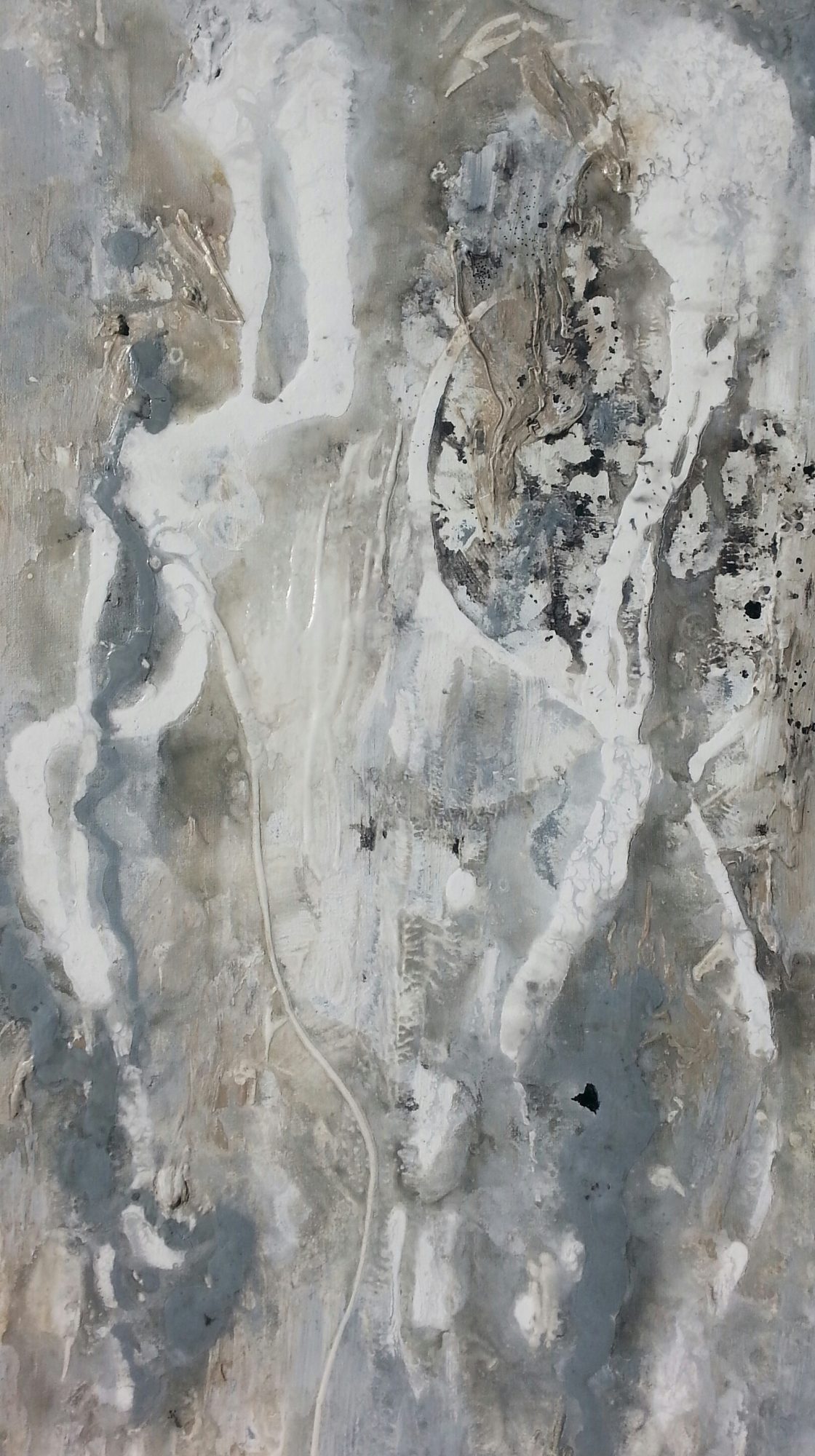 grey-gums-cropped-image