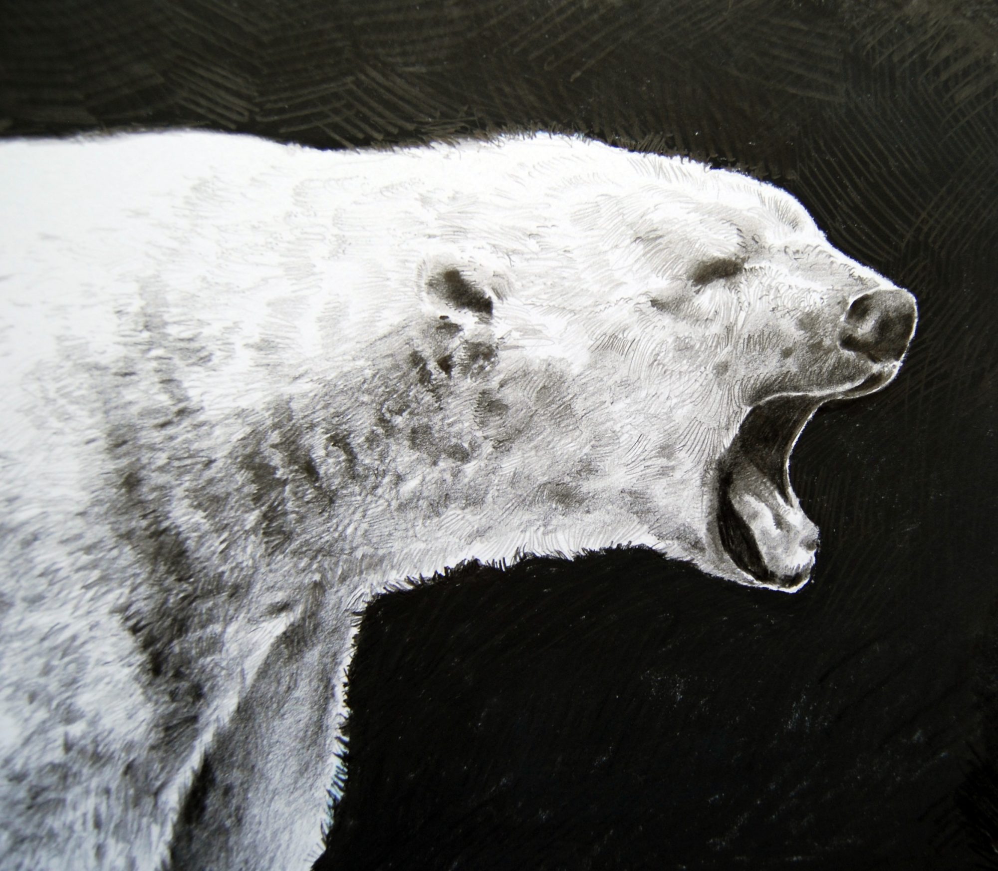 northern-cry-detail-1