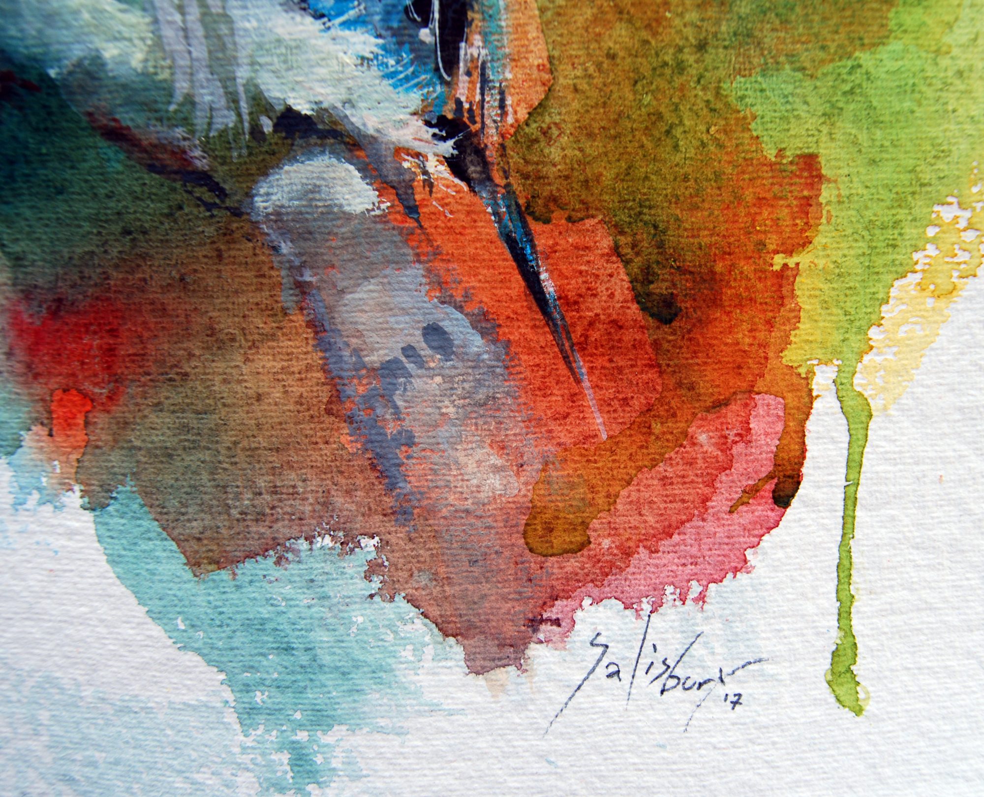 blue-winged-kookaburra-detail-2