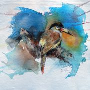 plate-billed-mountain-toucan