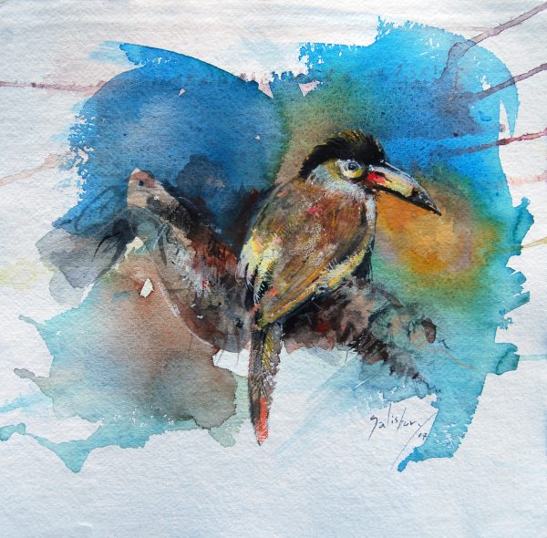 plate-billed-mountain-toucan