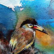 plate-billed-mountain-toucan-detail-1