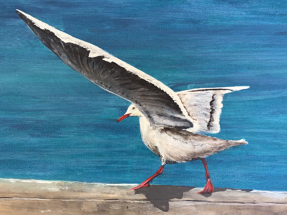 vantage-point-close-up-c